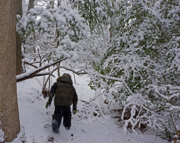 walking snow filled woods