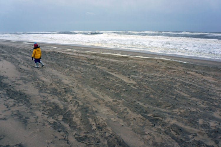 yellow coat windy beach