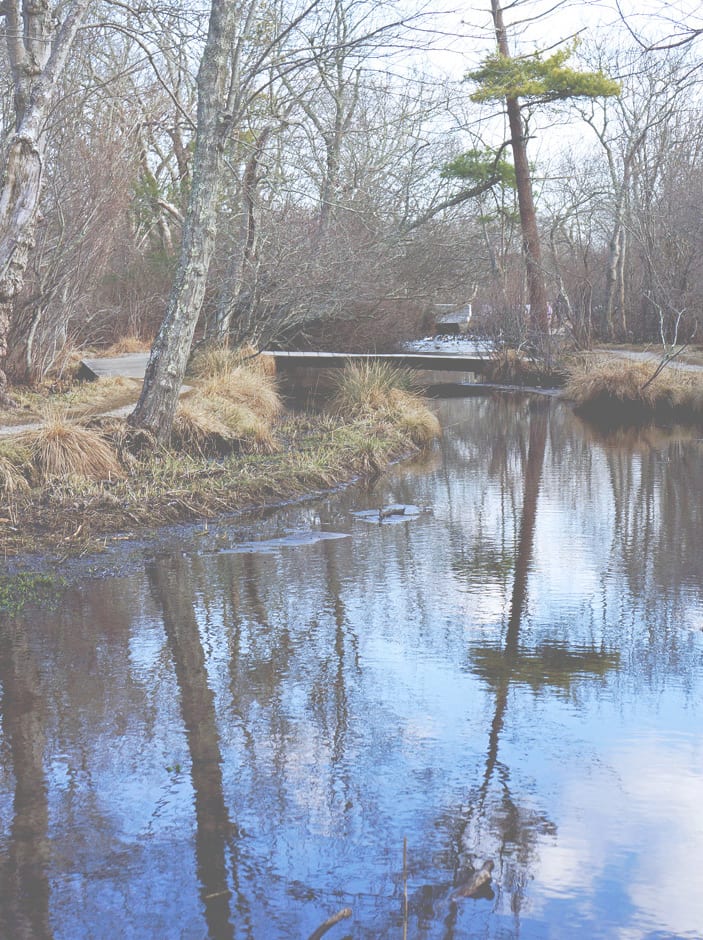 stream village nature trail