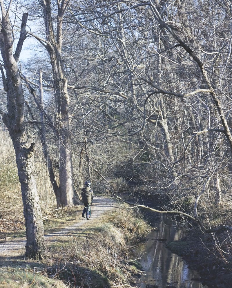 trail path north fithian lane