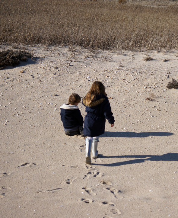 sandpit rocks shells