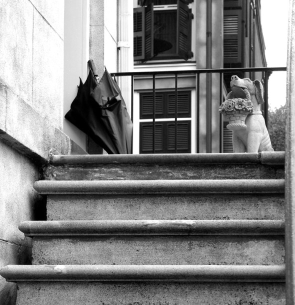 Umbrella and statue black and white photography Savannah