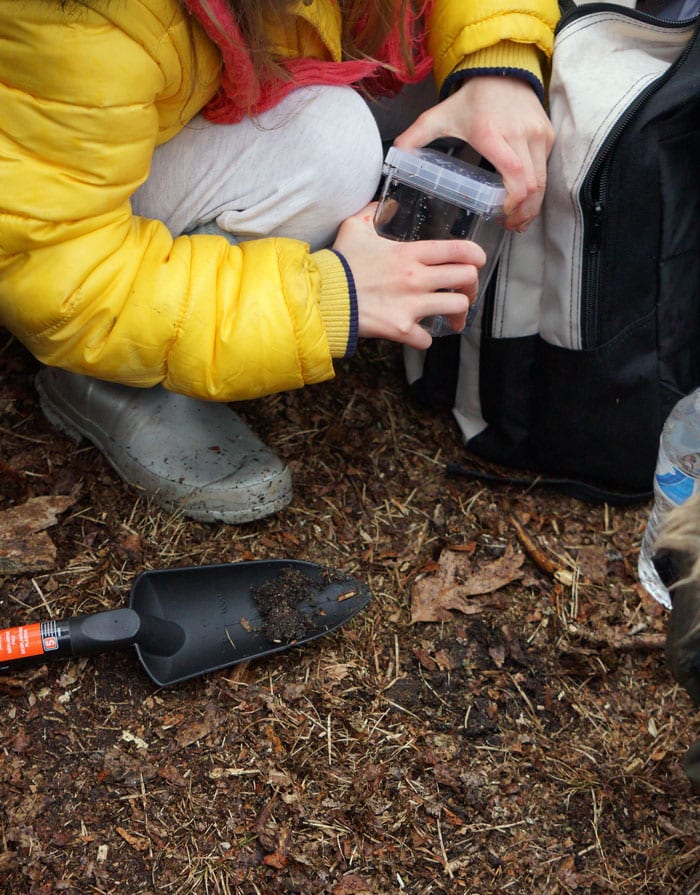 kid naturalist digging up sample