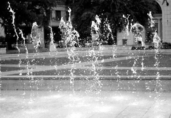 Fountain spray, Savannah