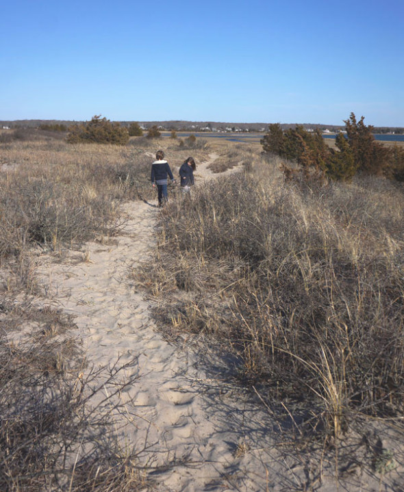 footpath sammys beach preserve