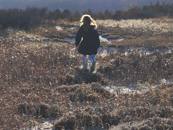 luce running marsh grass path