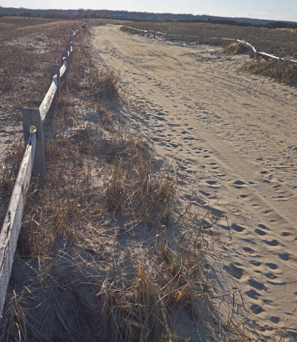 dirt road nature preserve