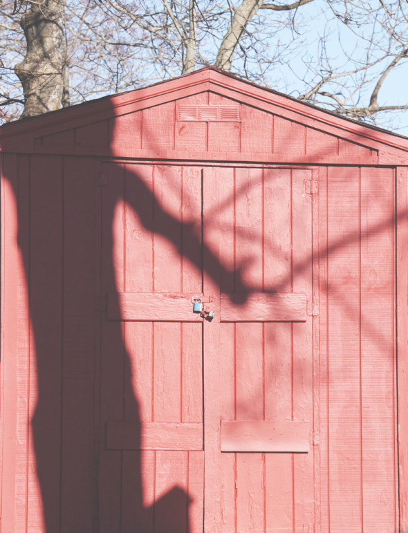 tree shadow shed