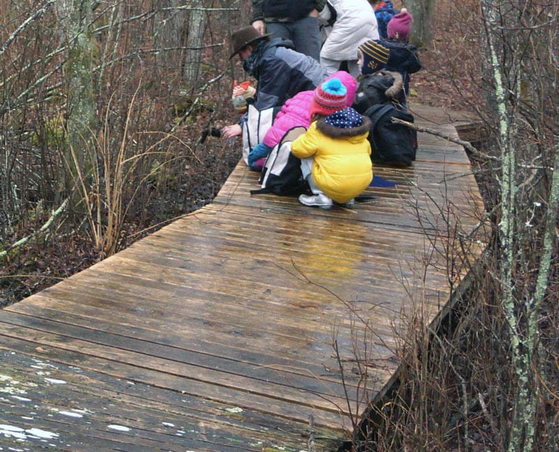 studying swamp mud