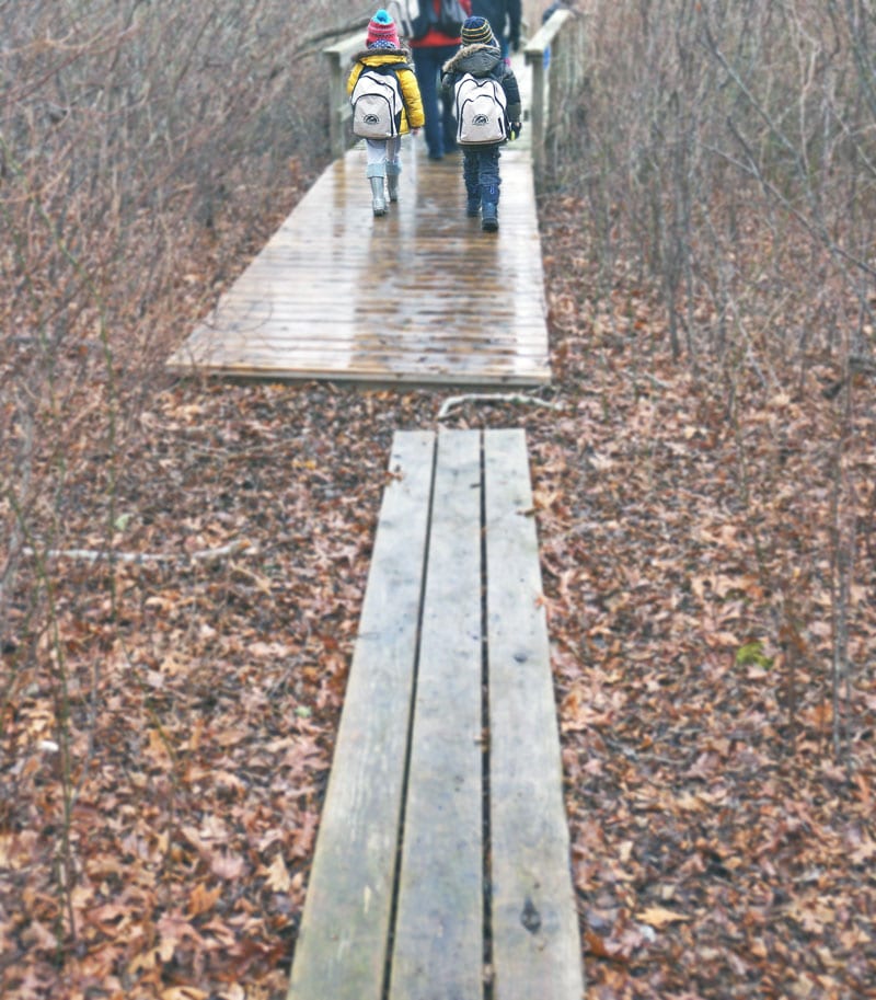 young naturalists swamp hunt