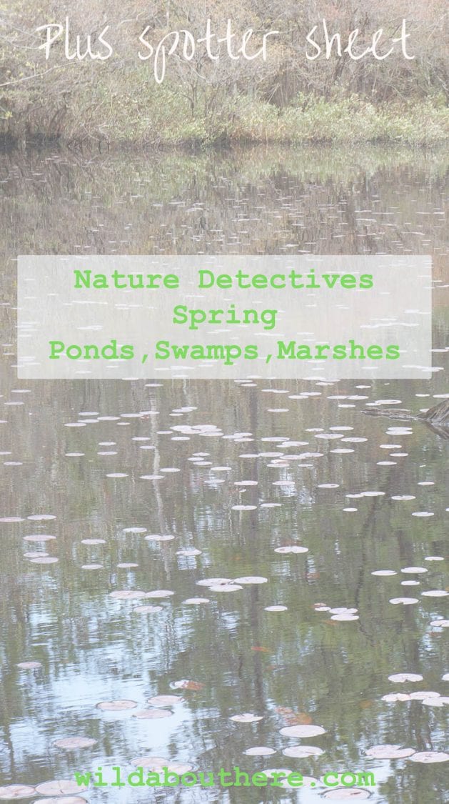 Nature Detectives USA Ponds Swamps Marshes