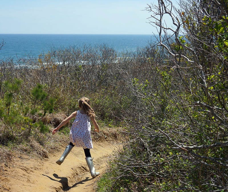 Shadmoor Montauk bluff path