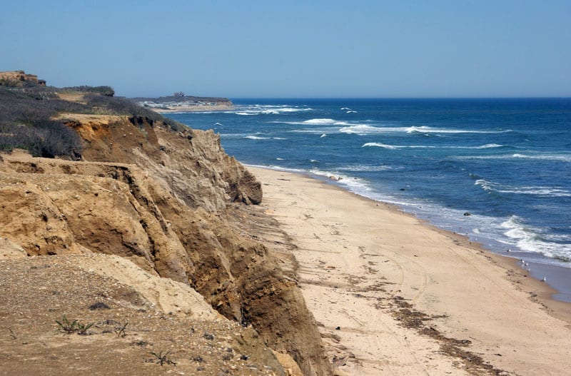 beach and ocean bluff Montauk