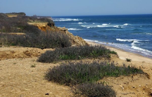 Ocean bluff in Shadmoor State Park