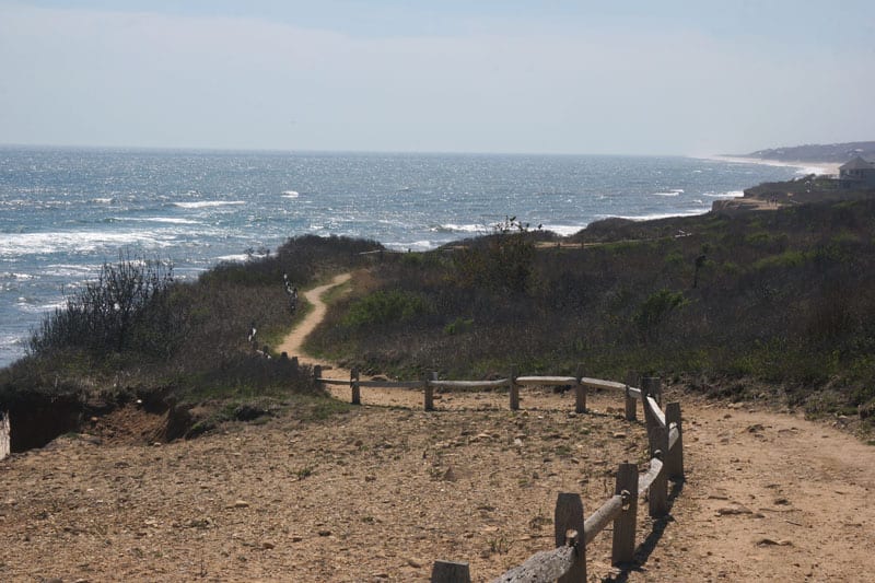 Path in Shadmoor, Montauk