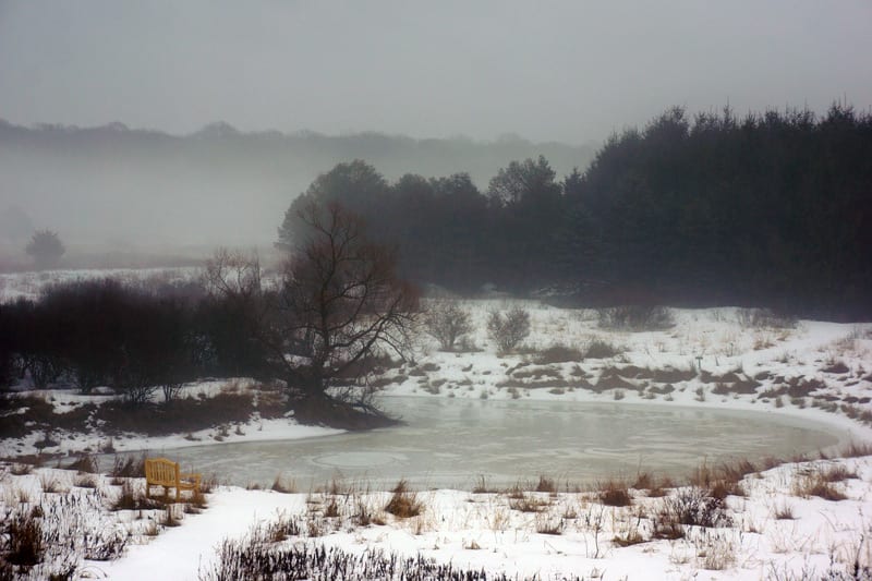 Winter pond SOFO