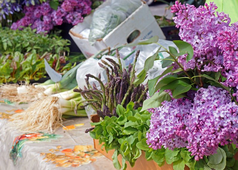 local farmers market in the Hamptons