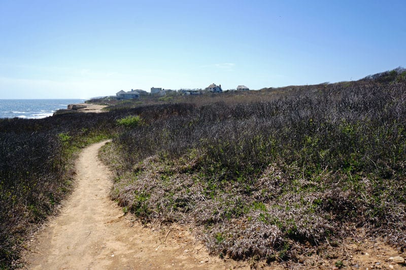 homes on nearby bluff Montauk