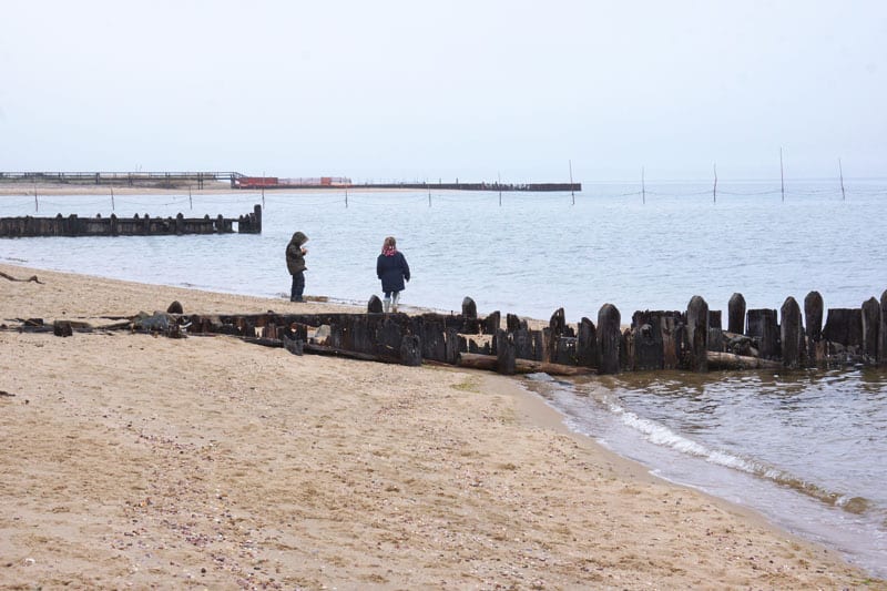 Broadview estate dock in background