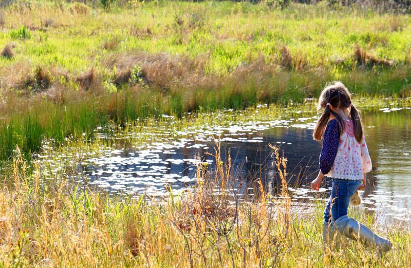 SOFO Hamptons   Old Field pond