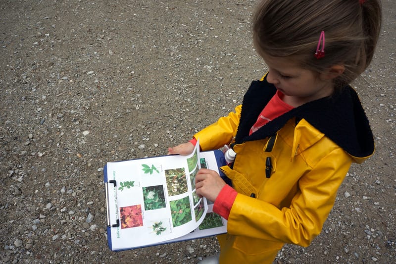 young nature detective with plant printouts