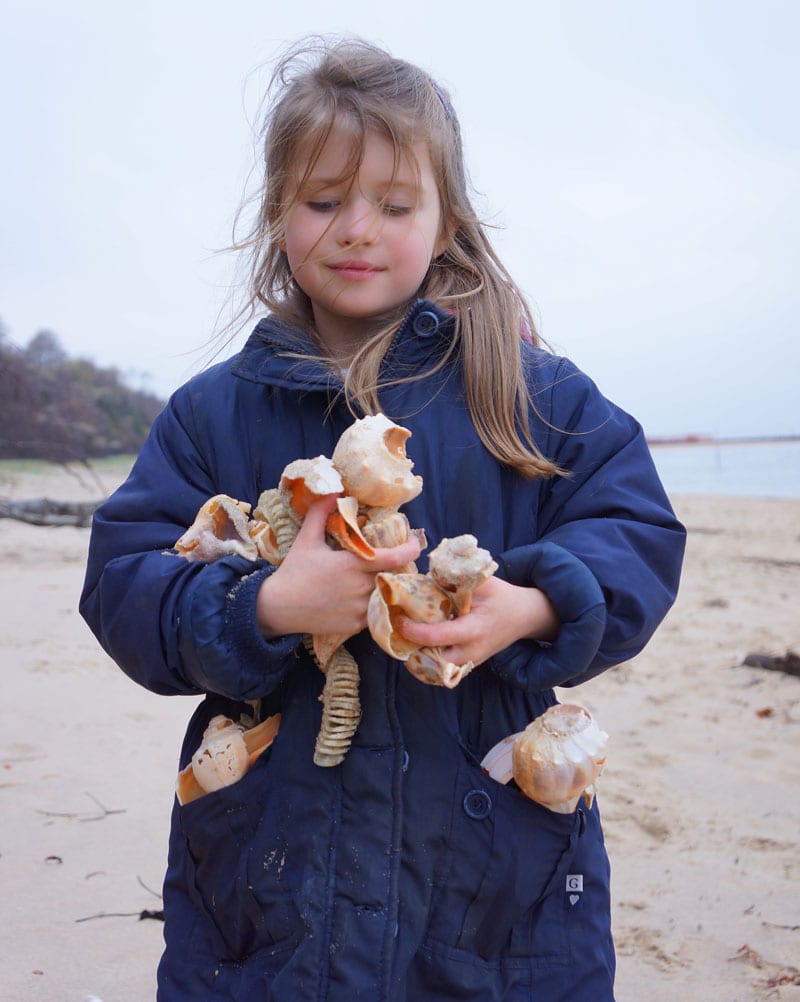 luce carrying shells