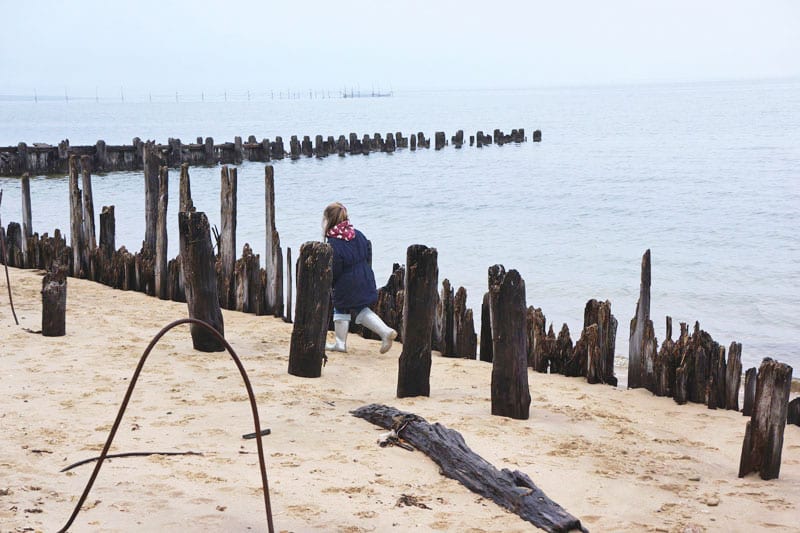 Running among wood posts Alberts Landing Amagansett