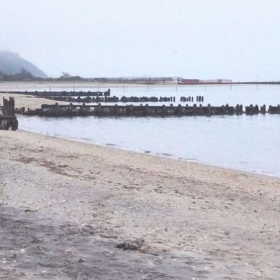 Albert’s Landing Beach – Shells and Bygone Days