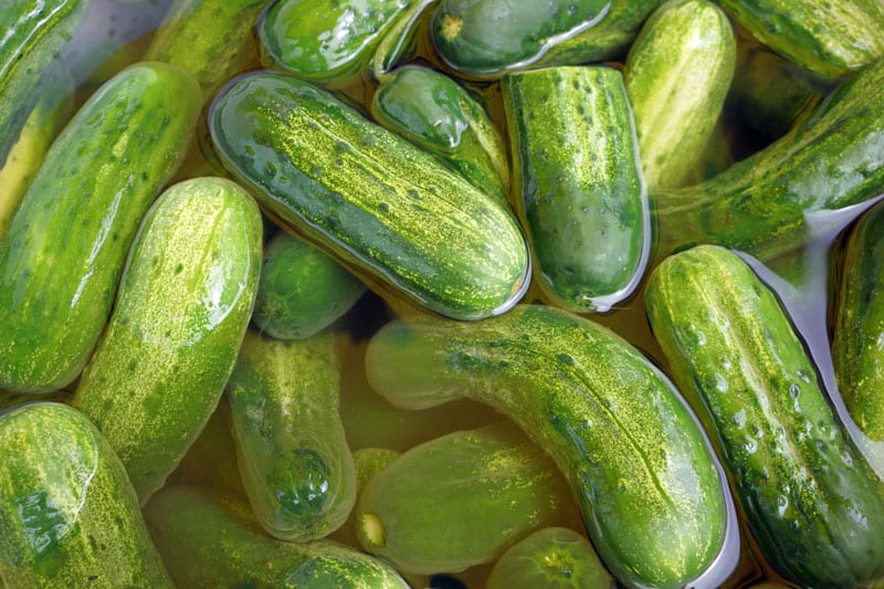 dill pickles