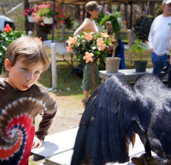 Theo making faces at one smart crow