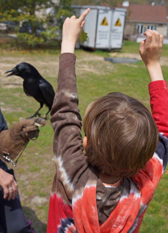 Theo making gestures with smart crow