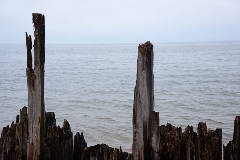 Alberts Landing beach Hamptons