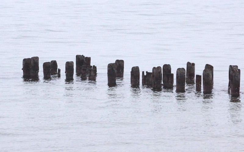 posts in water