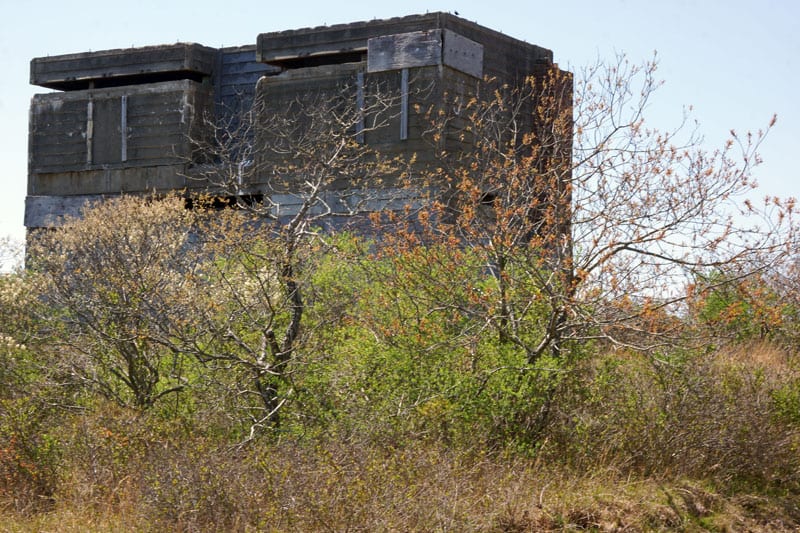 Shrubs in front of bunker