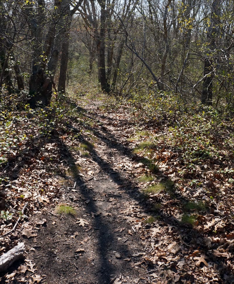 Woods Battery 113 trail