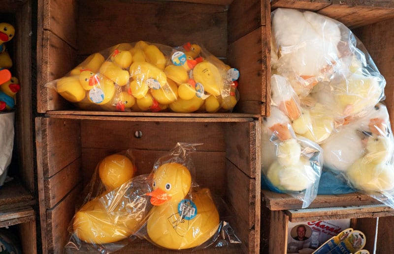 Ribber ducks inside gift shop
