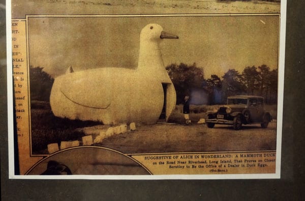 photo in shop The Big Duck NY Times 1931