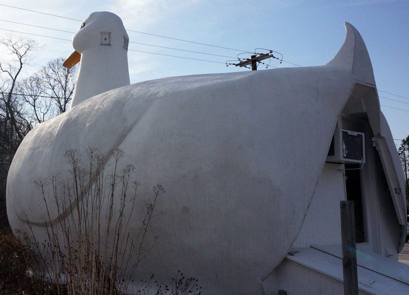 Back view of The Big Duck