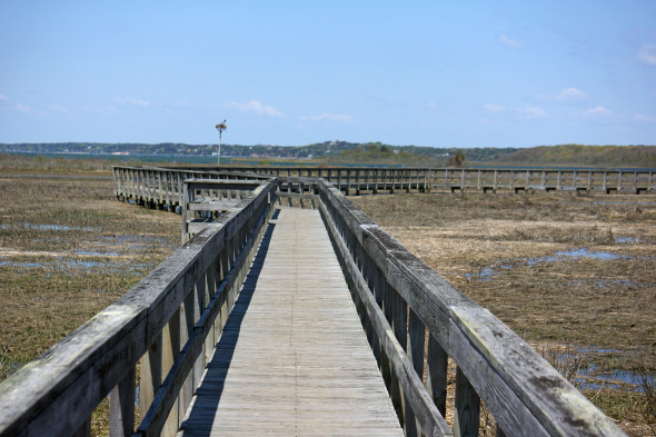 Munn Point boardwalk Southampton