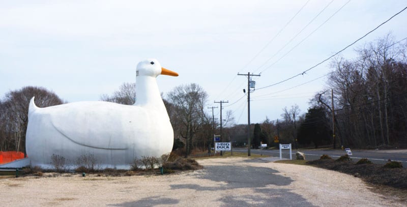 The Big Duck next to Route 24