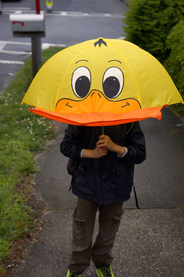 duck umbrella