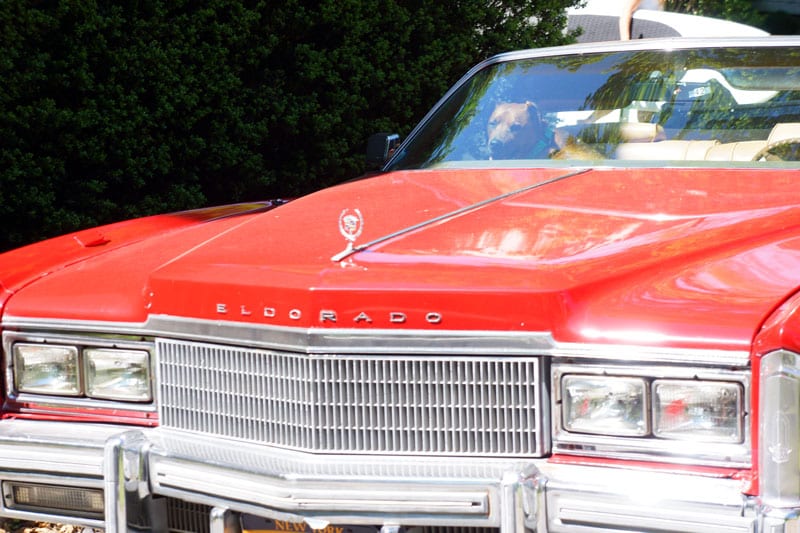 eldorado dog passenger seat