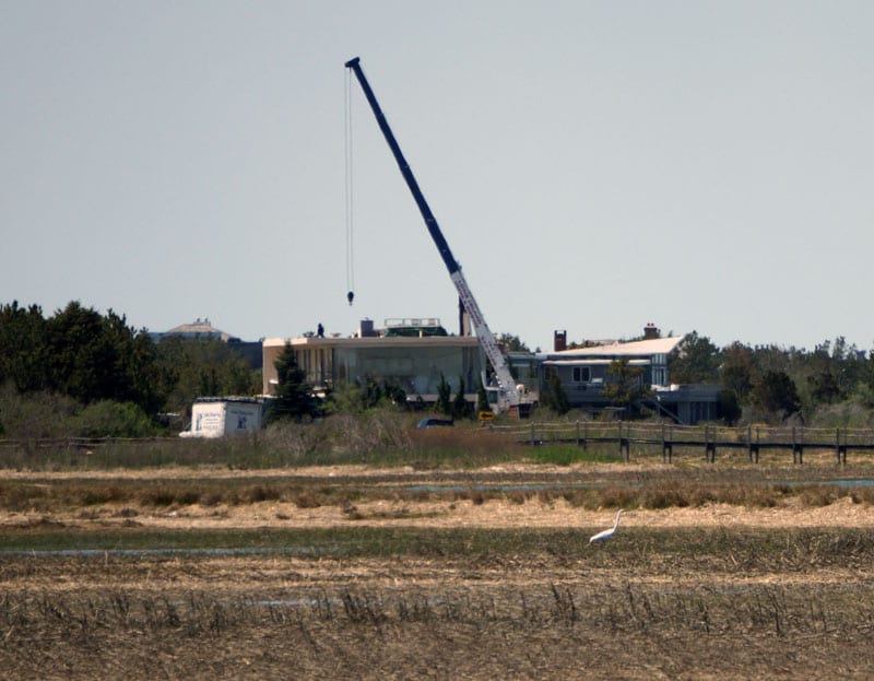 Great Egret and crane on Meadow Lane