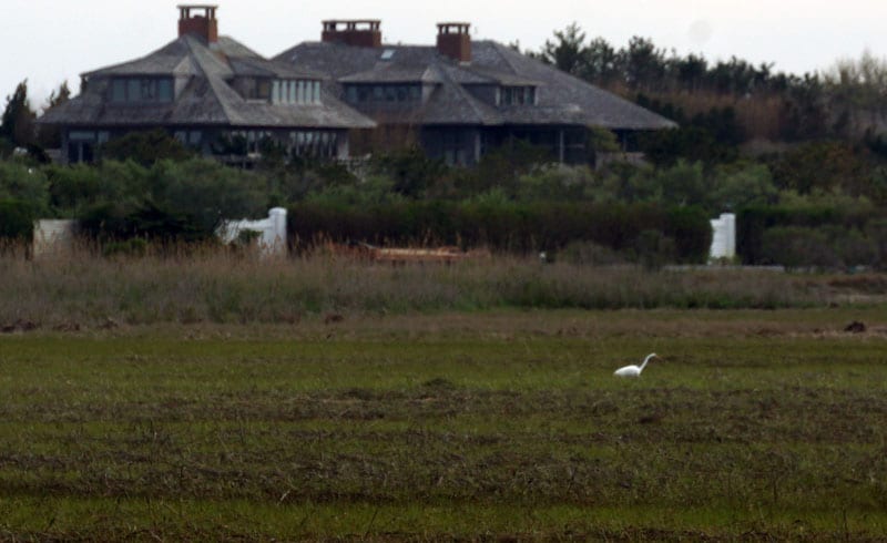 Great Egret Munn Point Meadow Lane