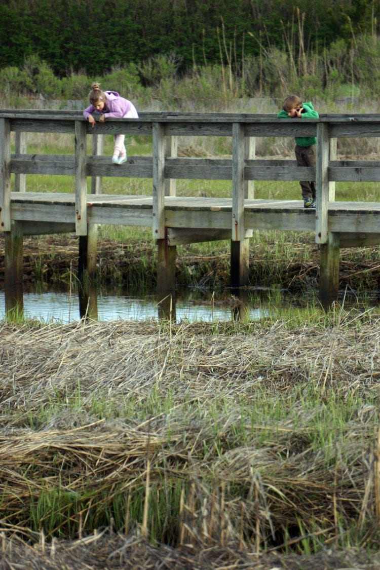 Looking Munn Point boardwalk