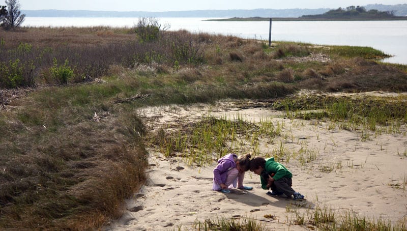 Luce and Theo sand