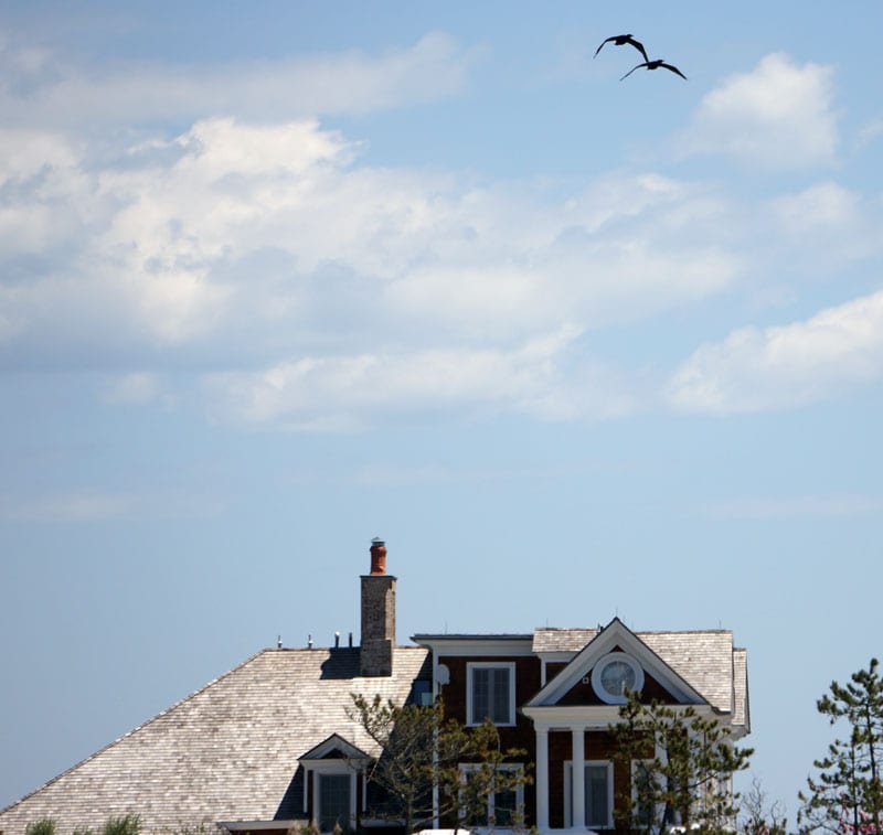 Birds flying over house on Shinnecock Bay