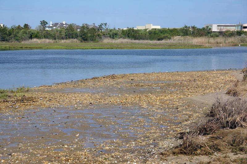 Munn Point Preserve and Meadow Lane mansions