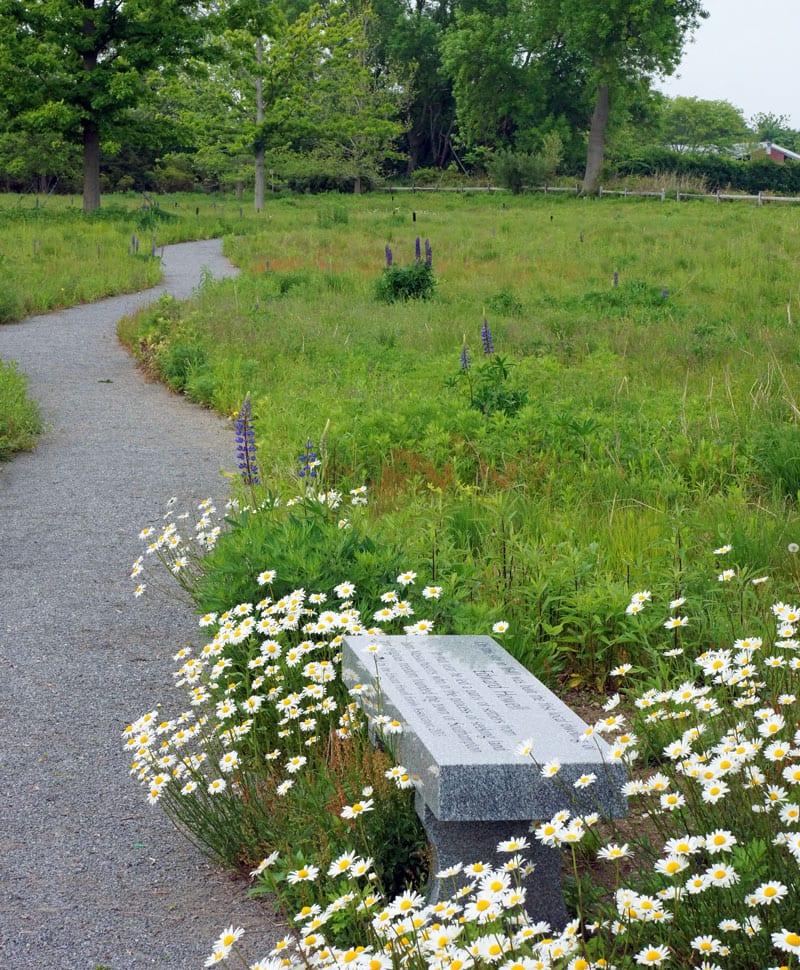 Edward Howell memorial bench