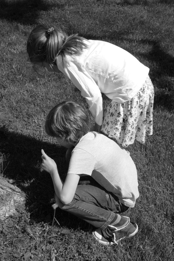 Luce Theo examining bug grass